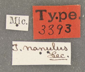 Media type: image;   Entomology 3393 Aspect: labels